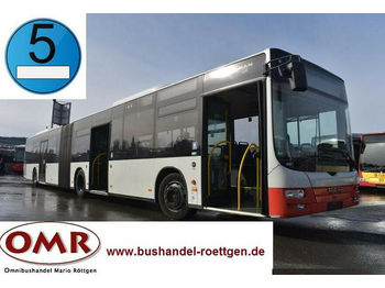 Mestni avtobus MAN A 23 Lion's City / 530 G Citaro / EEV: slika 1