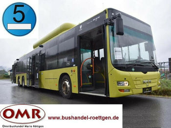Mestni avtobus MAN A 26 Lion´s City L / NL 313 CNG: slika 1