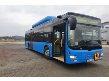 Mestni avtobus MAN Lions City A21 CNG Euro 6: slika 1