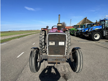 Massey Ferguson 365 - Traktor: slika 2
