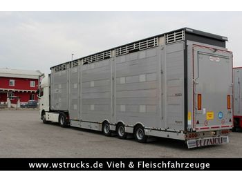 Polprikolica za prevoz živine Pezzaioli SBA31-SR  3 Stock  Vermietung: slika 1