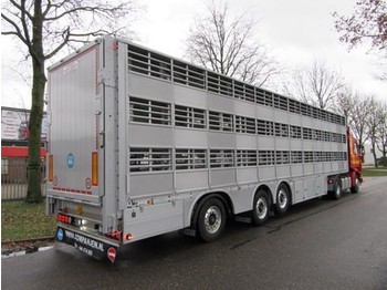 Nov Polprikolica za prevoz živine Pezzaioli SBA 63 S: slika 1