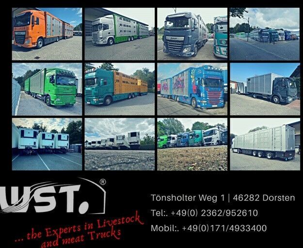 Nov Prikolica avtotransporter WST Edition Spezial Überlänge 8,5 m: slika 10