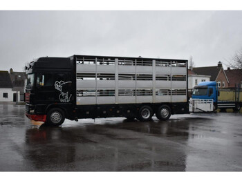 Tovornjak za prevoz živine DAF AS48XS: slika 1