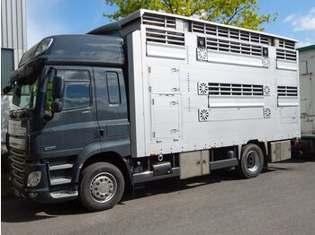 Nov Tovornjak za prevoz živine DAF CF 430 SC Pezzaioli 2 Stock Hubdach *NEU*: slika 1