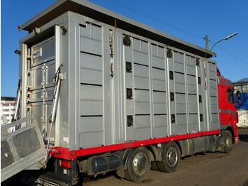 Tovornjak za prevoz živine DAF XF105/460 Spacecup Menke 4 Stock: slika 1