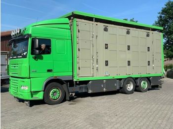 Tovornjak za prevoz živine DAF  XF 105/460 SC Menke 3 Stock Hubdach: slika 1