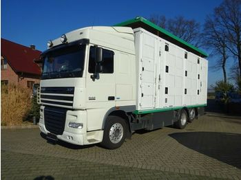 Tovornjak za prevoz živine DAF XF 105/460 SSC Menke 3 Stock Hubdach: slika 1
