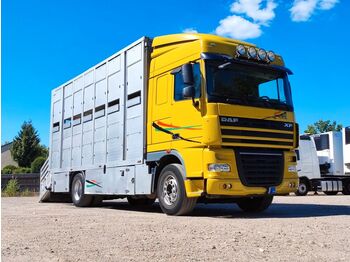 Tovornjak za prevoz živine DAF XF 410 SC Menke Doppelstock: slika 1
