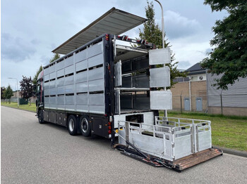 Tovornjak za prevoz živine DAF XF 460 2017 berdex 3 lagen varkens: slika 4