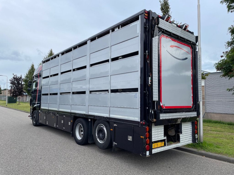 Tovornjak za prevoz živine DAF XF 460 2017 berdex 3 lagen varkens: slika 2