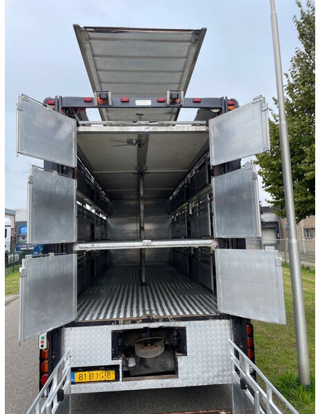 Tovornjak za prevoz živine DAF XF 460 2017 berdex 3 lagen varkens: slika 3