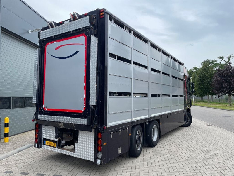 Tovornjak za prevoz živine DAF XF 460 2017 berdex 3 lagen varkens: slika 8