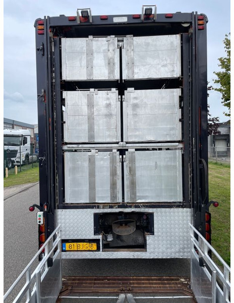 Tovornjak za prevoz živine DAF XF 460 2017 berdex 3 lagen varkens: slika 15