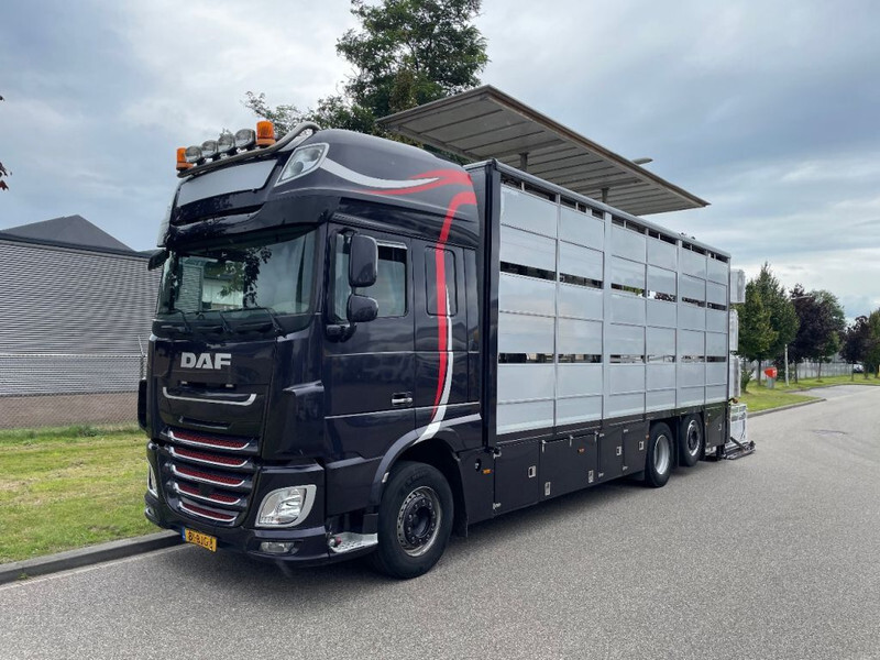 Tovornjak za prevoz živine DAF XF 460 2017 berdex 3 lagen varkens: slika 13