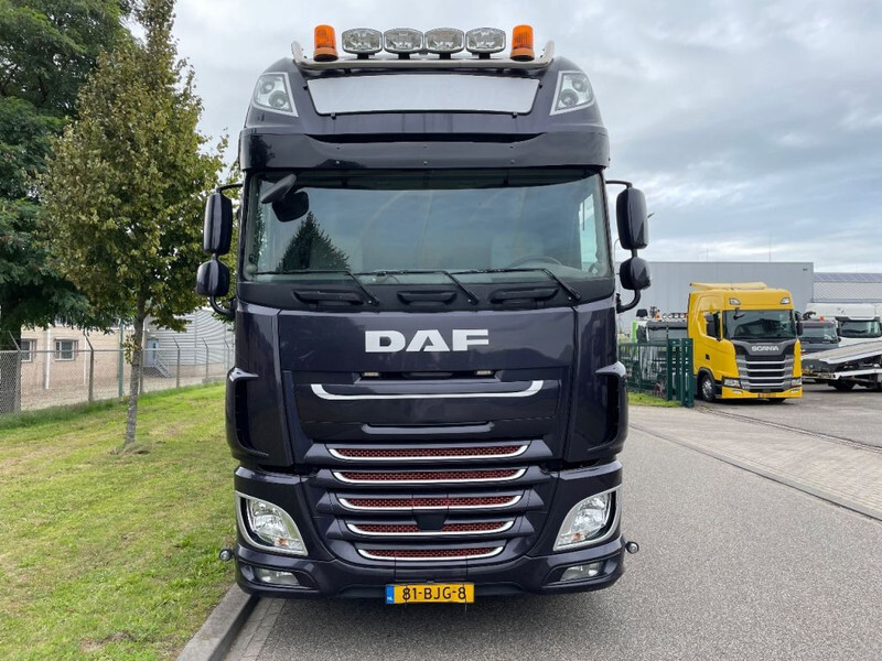 Tovornjak za prevoz živine DAF XF 460 2017 berdex 3 lagen varkens: slika 18