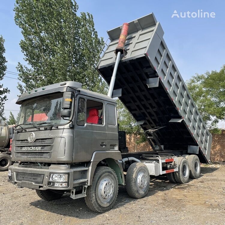 F3000 8x4 drive tipper lorry truck dumper lizing F3000 8x4 drive tipper lorry truck dumper: slika 3