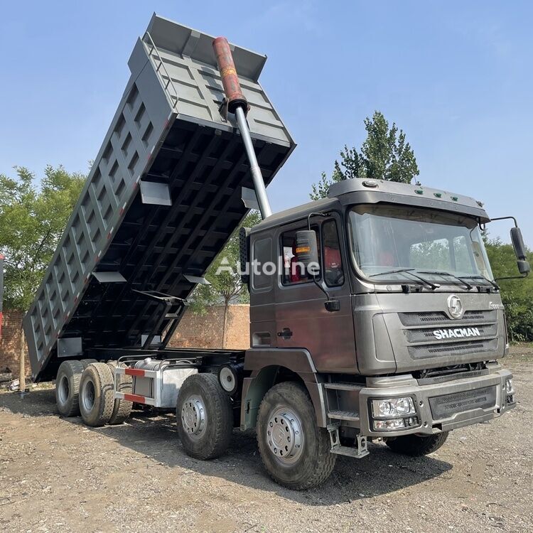 F3000 8x4 drive tipper lorry truck dumper lizing F3000 8x4 drive tipper lorry truck dumper: slika 2