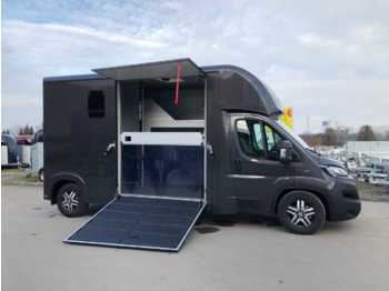 Nov Tovornjak za prevoz živine Fiat Böckmann Compact L Stall LKW: slika 1