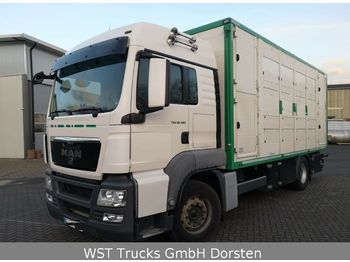 Tovornjak za prevoz živine MAN TGX 18.480 LX Menke 2 Stock Vollalu: slika 1