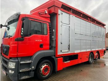 Tovornjak za prevoz živine MAN TGX 26.360 LL Finkl Doppelstock 8,1m: slika 1