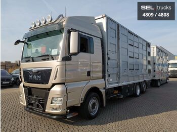 Tovornjak za prevoz živine MAN TGX 26.440/3 Stock /Lenkachse/Intarder /Komplett: slika 1
