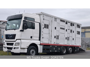 Tovornjak za prevoz živine MAN TGX 26.440 FG 6x2  Menke Janzen 3 Stock: slika 5