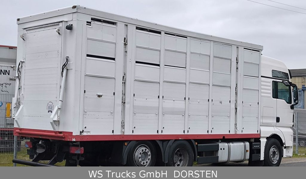 Tovornjak za prevoz živine MAN TGX 26.440 FG 6x2  Menke Janzen 3 Stock: slika 4