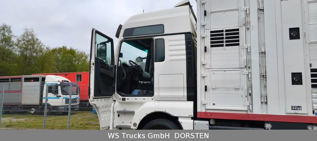 Tovornjak za prevoz živine MAN TGX 26.440 FG 6x2  Menke Janzen 3 Stock: slika 8
