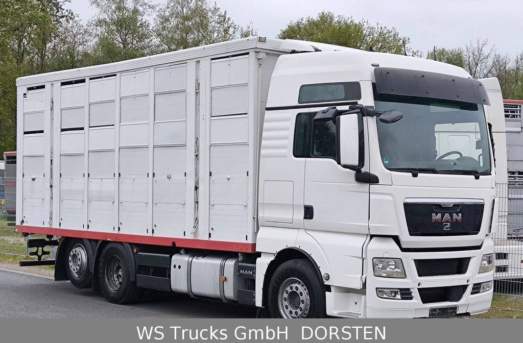 Tovornjak za prevoz živine MAN TGX 26.440 FG 6x2  Menke Janzen 3 Stock: slika 2