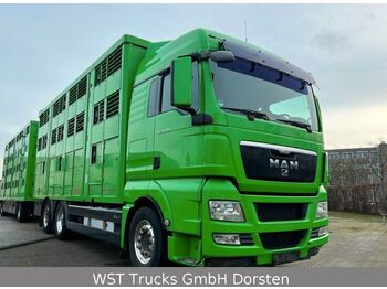 Tovornjak za prevoz živine MAN TGX 26.480 XL KABA   3 Stock Vollalu: slika 1