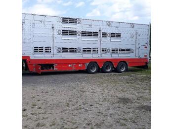 Tovornjak za prevoz živine Pezzaiolli: slika 1