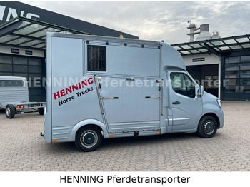 Tovornjak za prevoz konj, Dostavno vozilo Renault Master *3-Sitzer* *KURZ*: slika 3