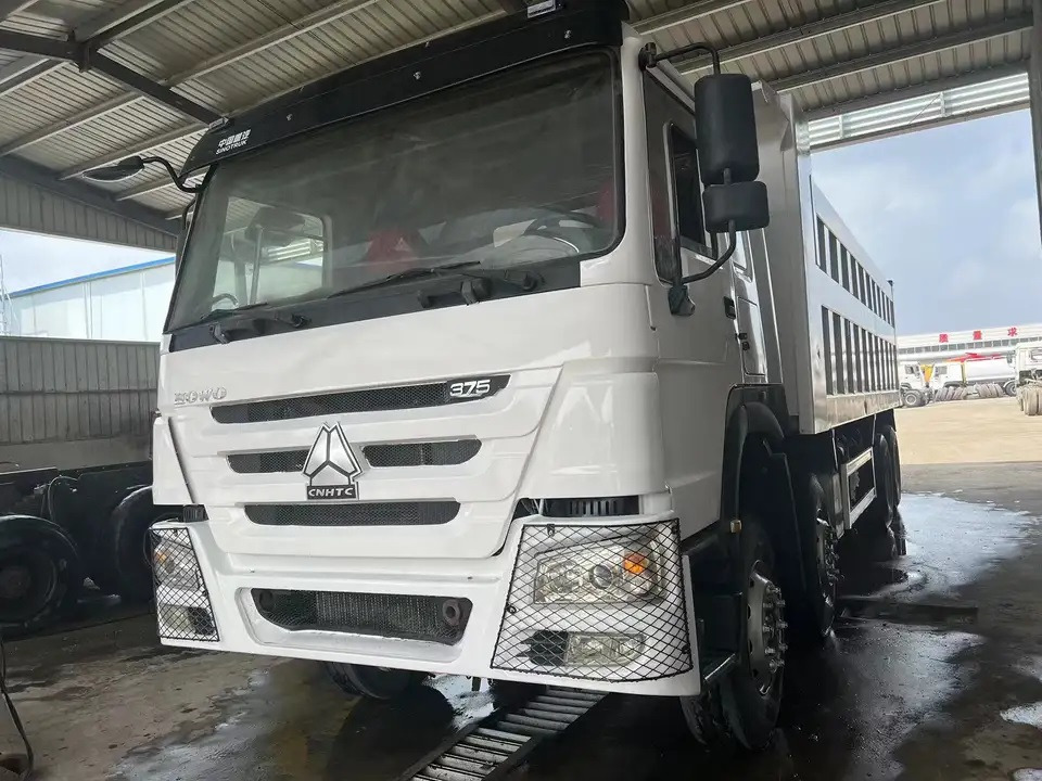 Tovornjak prekucnik SINOTRUK HOWO 8x4 drive 12 wheels dump truck China dumper lorry: slika 2