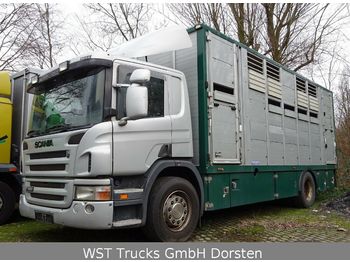 Tovornjak za prevoz živine Scania P 380 mitt Menke Doppelstock: slika 1