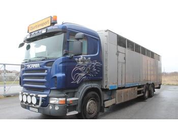 Tovornjak za prevoz živine Scania R480 LB 6X2*4 HNB: slika 1