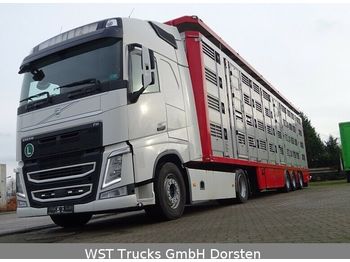 Tovornjak za prevoz živine Volvo FH 460  XL Menke 4 Stock Vollausstattung: slika 1