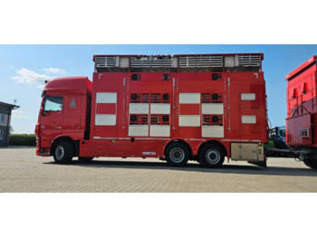 Tovornjak za prevoz živine DAF XF 105 510