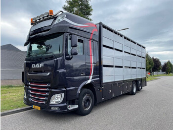 Tovornjak za prevoz živine DAF XF 460