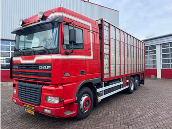 Tovornjak za prevoz živine DAF XF 95 380