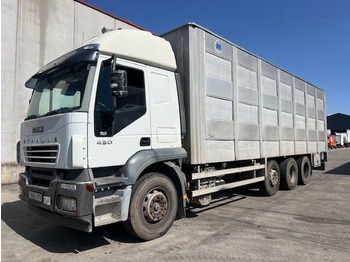 Tovornjak za prevoz živine IVECO Stralis