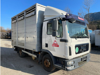 Tovornjak za prevoz živine MAN TGL 12.220
