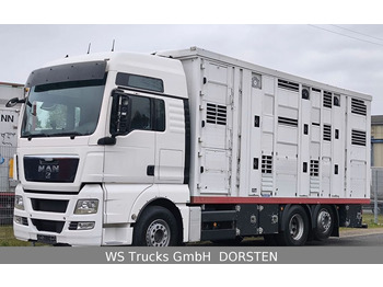 Tovornjak za prevoz živine MAN TGX 26.440