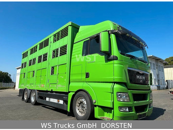 Tovornjak za prevoz živine MAN TGX 26.480