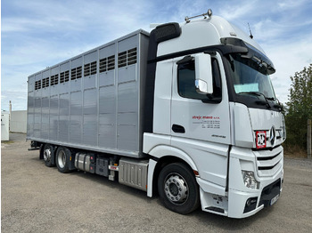 Tovornjak za prevoz živine MERCEDES-BENZ Actros 2545