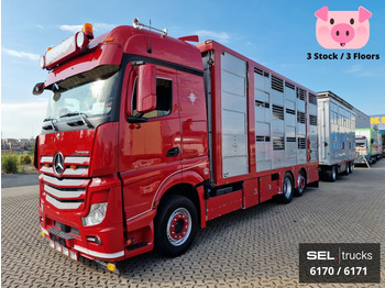 Tovornjak za prevoz živine MERCEDES-BENZ Actros