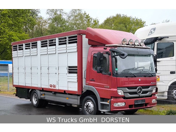 Tovornjak za prevoz živine MERCEDES-BENZ Atego