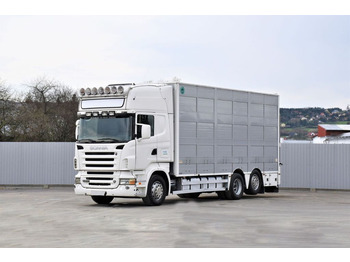 Tovornjak za prevoz živine SCANIA R 500