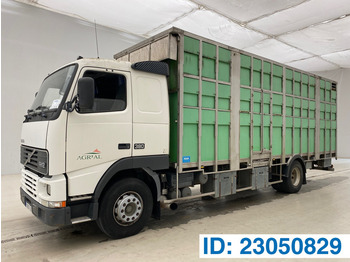 Tovornjak za prevoz živine VOLVO FH12 380
