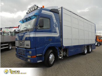 Tovornjak za prevoz živine VOLVO FH12